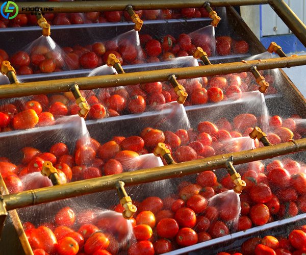 tomato cleaning machine detail