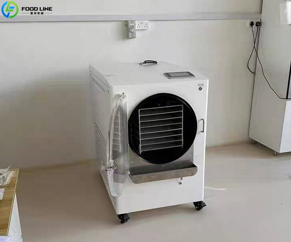 home freeze drying device