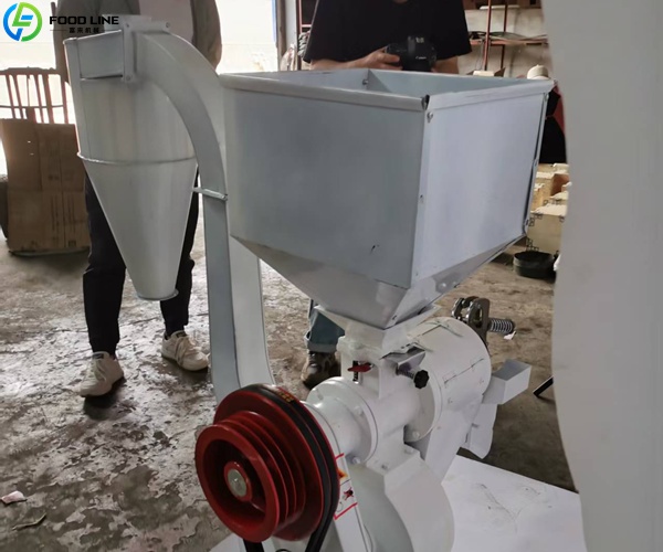 peeling machine for cocoa