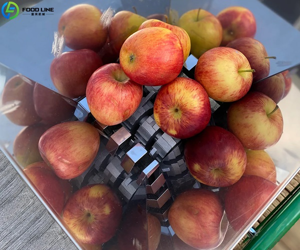 pulping device detail