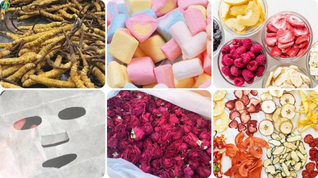 freeze dried products