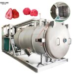 freeze drying device for fruit