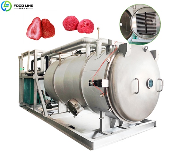 freeze drying device for fruit