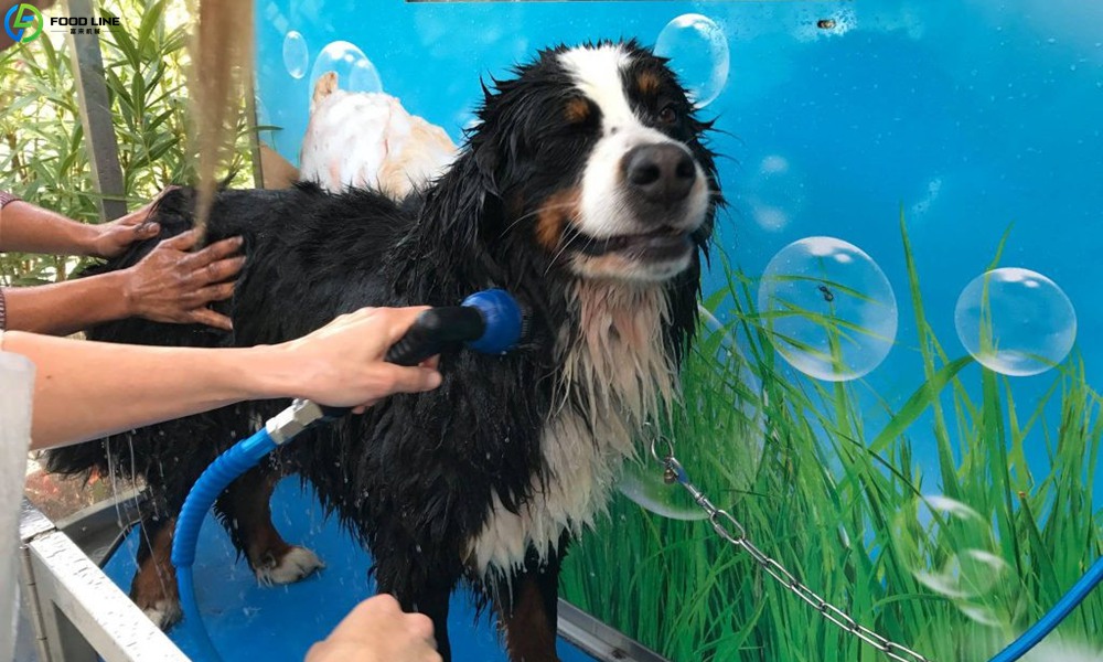 automatic dog cleaning device