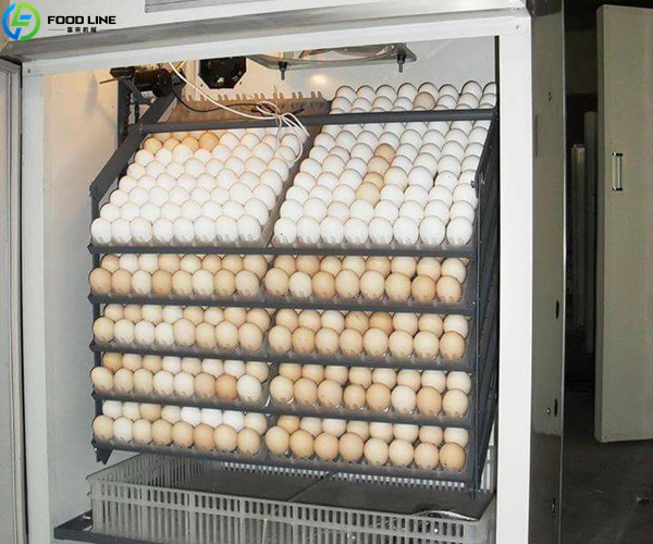 automatic egg incubator equipment