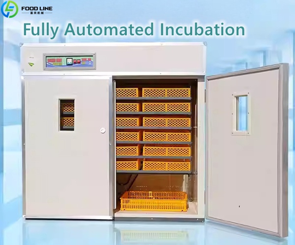egg incubator device