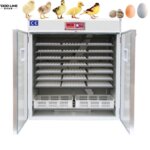 smart egg incubator device