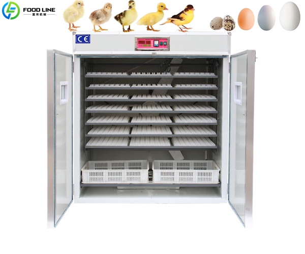 smart egg incubator device