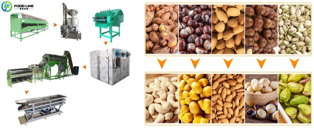 cashew production line device