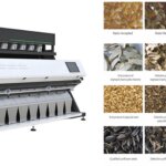 Grain Sorter Machine for Rice, Seeds, Beans & Nuts commercial nut color sorting device