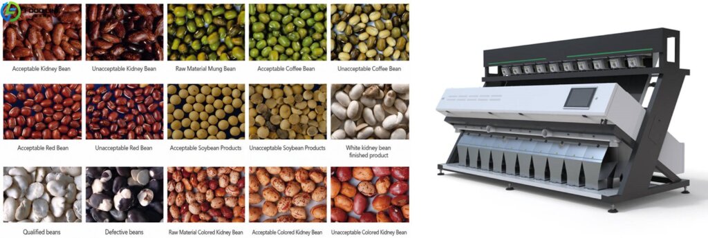 commercial nut color sorting equipment
