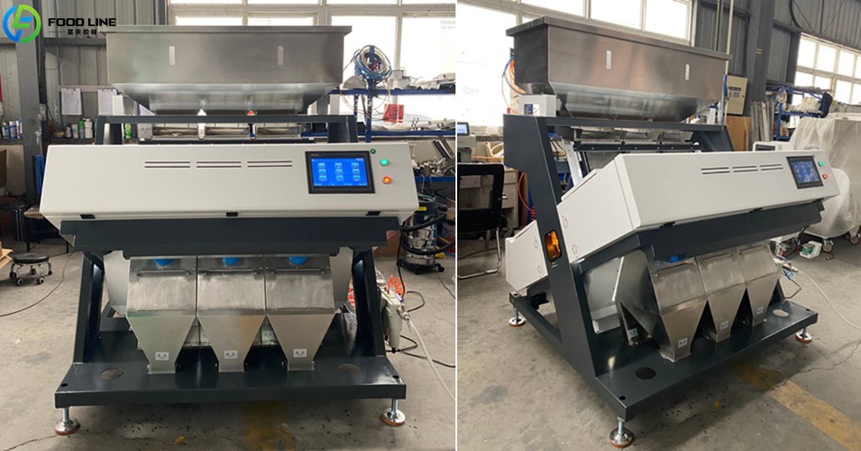 front and side views of a large scale color sorter