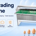 Egg Grading Machine Price | Chicken & Duck Egg Sorting smart egg grading device