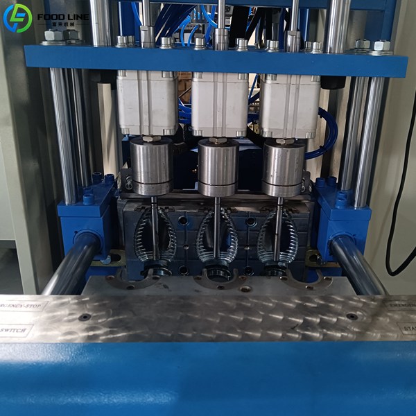 blow molding device details