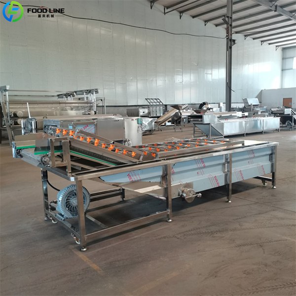 automatic vegetable washing device