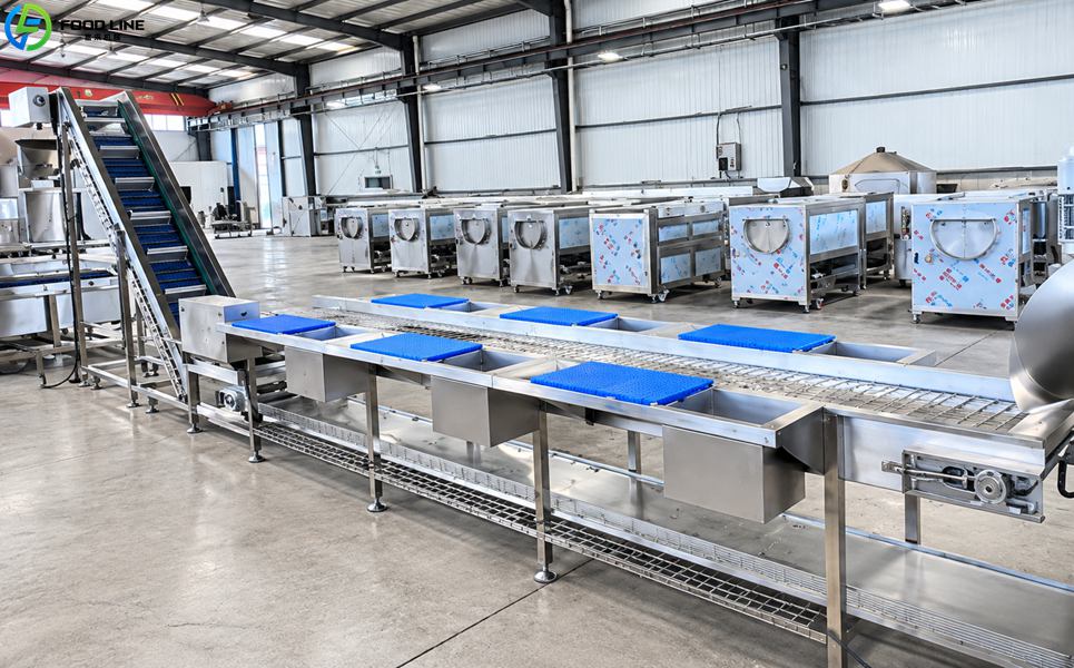 selecting the root cutting conveyor line