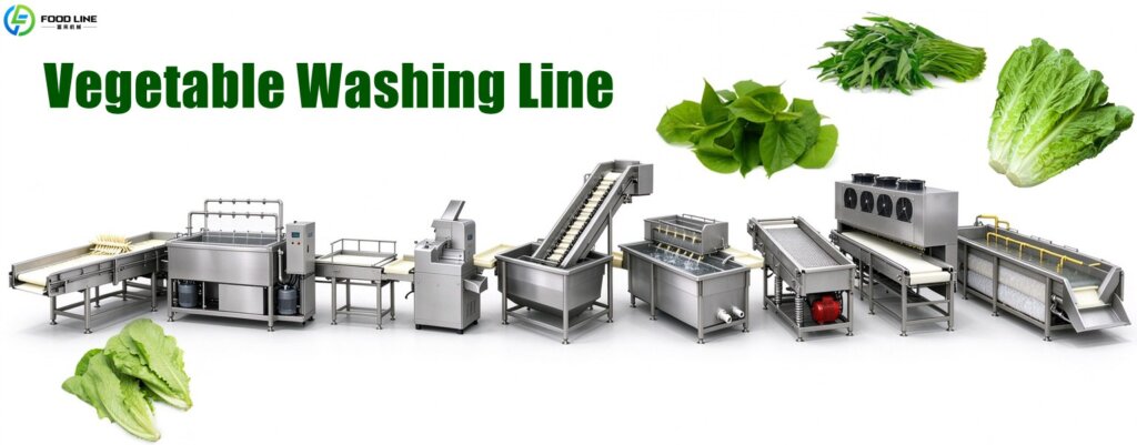 vegetable washing line machines