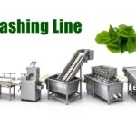 Automatic Vegetable Washing Line for Fresh Food Processing vegetable washing line machines